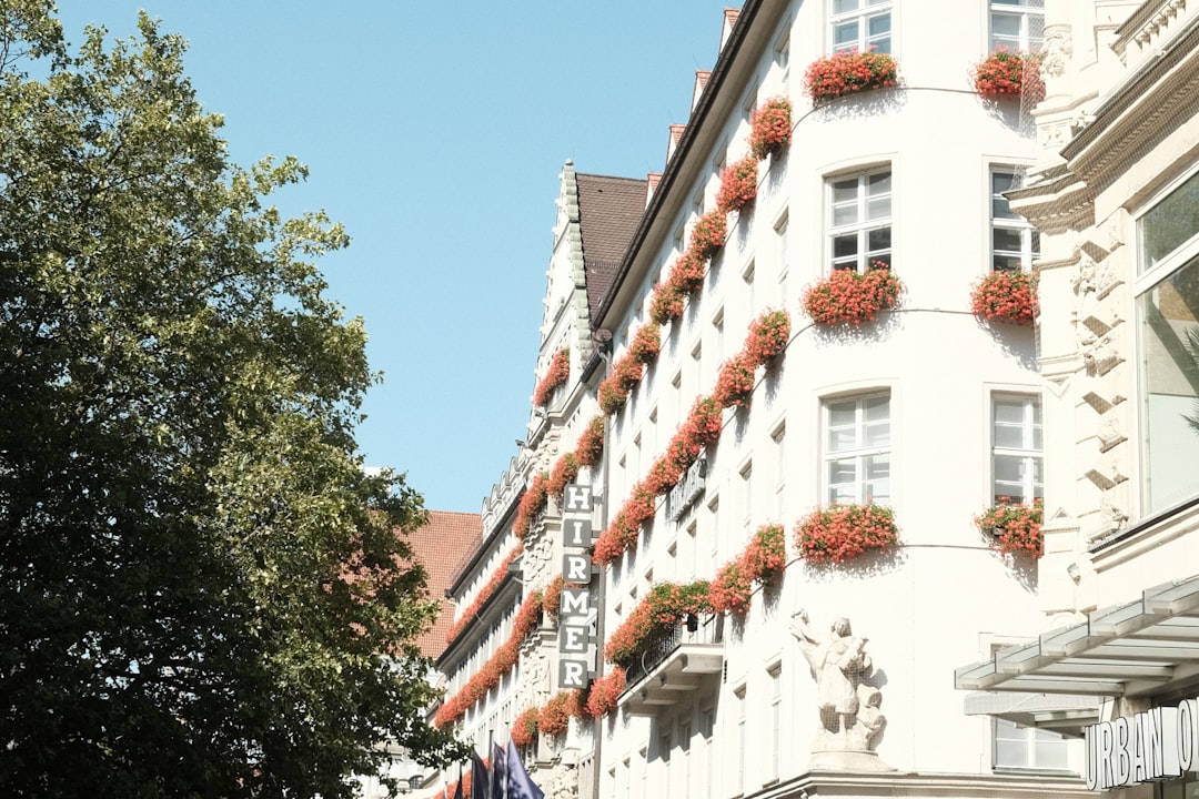 Professioneller Reinigungsservice